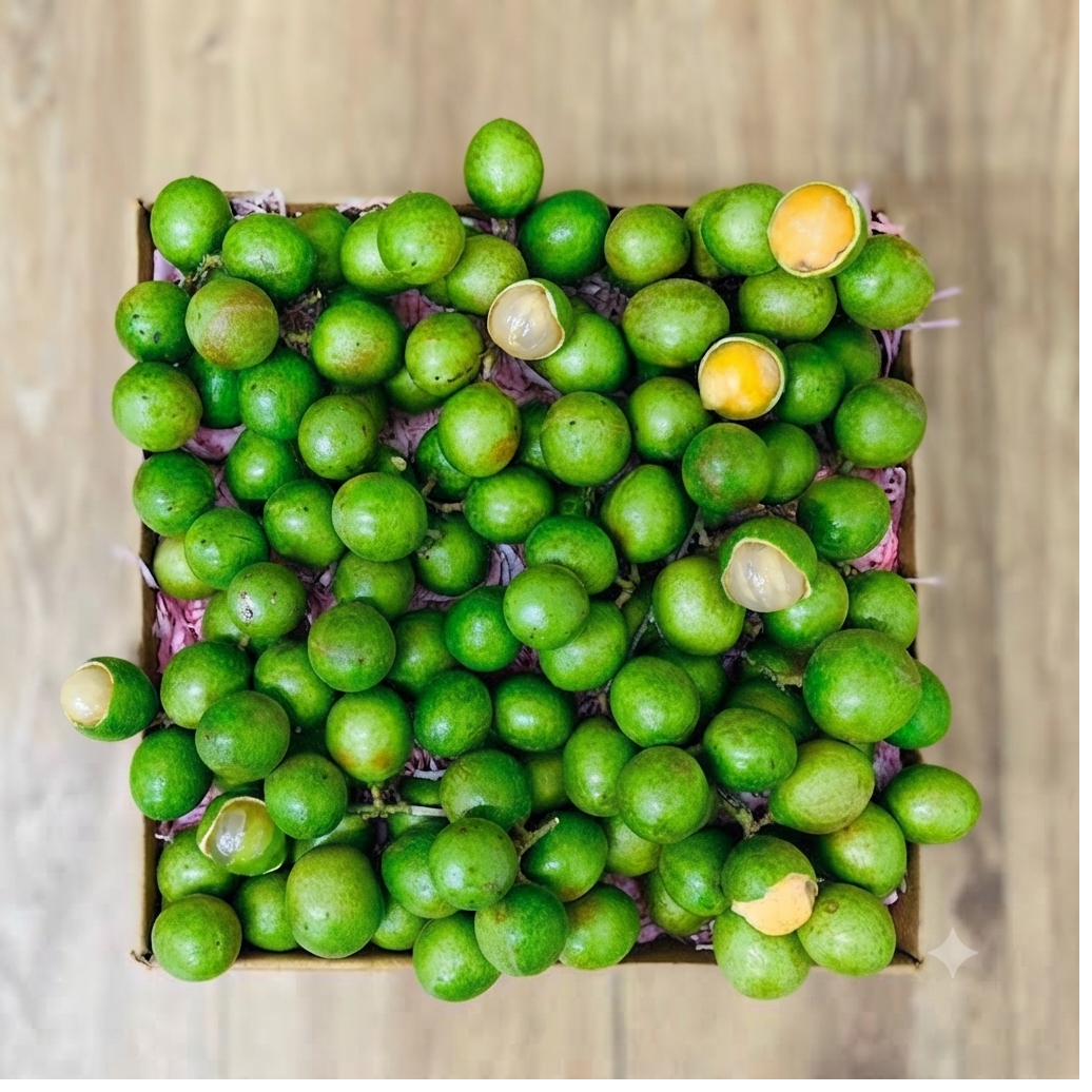Quenepa — Spanish Lime